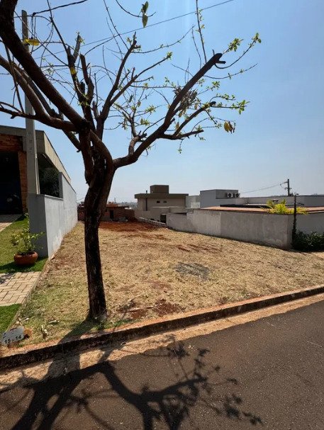 Terreno em Condomnio - Venda - Reserva San Pedro - Ribeiro Preto - SP