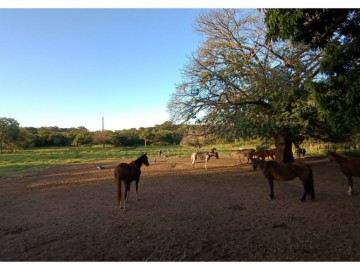 �rea em Ribeir�o Preto